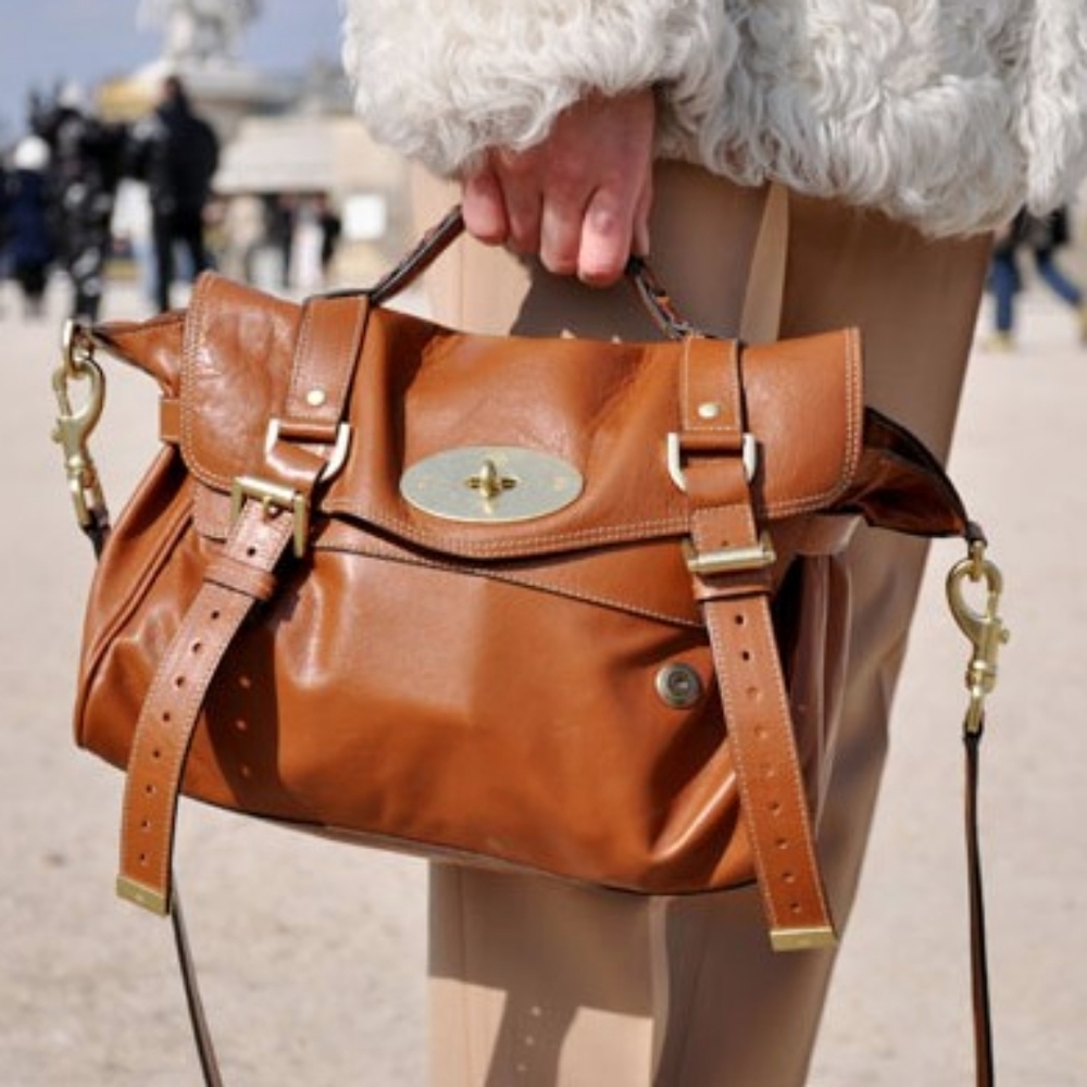 ▪︎4XHP▪︎🎀 Mulberry Alexa satchel